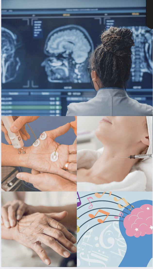 Screenshot 1404-08-15 at 11.51.01